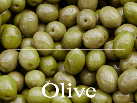 Magazine F Nº 22: Olive Online