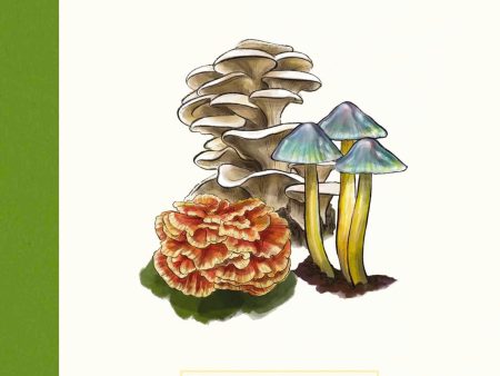 Mushrooms: An Illustrated Field (Niko Summers, June Lee) For Sale