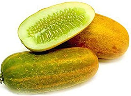 Fresh Indian Cucumber Yellow-cut piece 300g For Sale