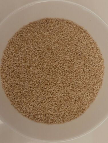 Shivi Kodo Millets 1Kg Online