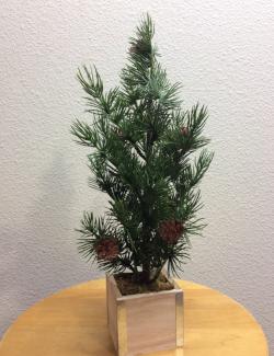 Mini Evergreen Tabletop Tree For Sale