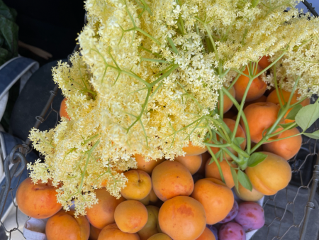 Apricot with Elderflower Online now