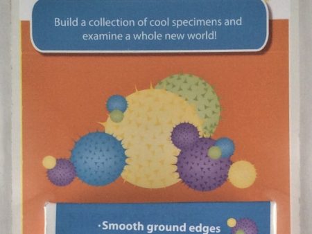 Standard Microscope Slides - Set of 12 Online