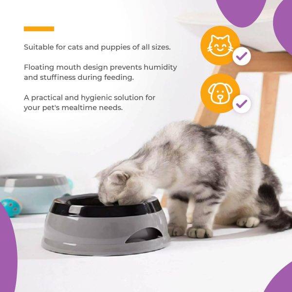 Smart Pet Bowl Slow Feeder, and Non-Slip Design, Bonus Water Bottle Feeder - No More Spills! Online