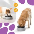 Smart Pet Bowl Slow Feeder, and Non-Slip Design, Bonus Water Bottle Feeder - No More Spills! Online