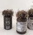 Halloween Medicine Bottles, Apothecary Bottles, Potion Bottles, Decorations, Set of 3 For Discount