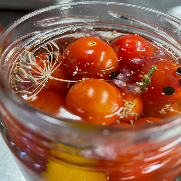 Dilly Pickled Tomatoes Sale