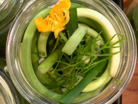 Garlic Scapes with Spring Herbs Sale