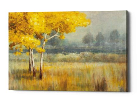 Yellow Landscape  by Danhui Nai, Canvas Wall Art For Discount