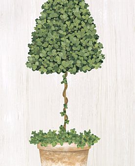 ALP2292 - Boxwood Tree Topiary - 9x18 on Sale